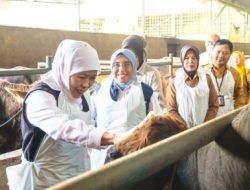 Jelang Idul Adha 2026, Gubernur Jawa Timur Turun Ke Bojonegoro Pantau Harga Pangan