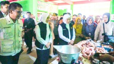 IMG 20260525 WA0133