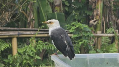 IMG 20260605 WA0019