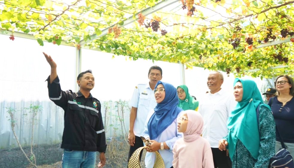 IMG 20260703 WA0029
