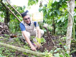 Mitigasi Longsor dan Dorong Ekonomi Warga, PLN UIP JBTB Salurkan Bantuan Konservasi 4.000 Pohon Aren Genjah Asal Aceh di Banyuwangi