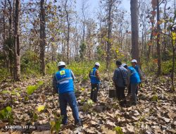 Sambut HUT ke-81 RI, PLN UIP JBTB Perkuat Sinergi dengan Balai Taman Nasional Baluran Bahas Kajian Rencana Proyek SUTET 500 kV Paiton–Watudodol/Kalipuro