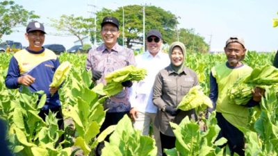IMG 20260813 WA0119